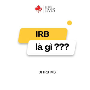 Văn phòng IRB là gì