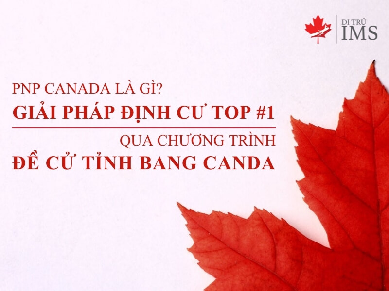 Chương trình Đề cử Tỉnh bang PNP Canada là gì?